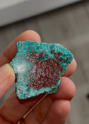 Blue Chrysocolla with Native Copper PM0566