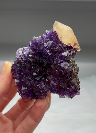 Rich Purple Fluorite with Yellow Calcite # 424