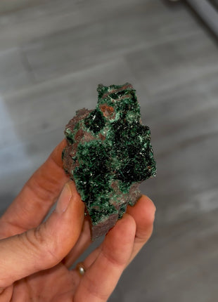 Rare ! Green Brochanthite Geode