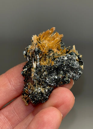 Golden Rutile with Metallic Hematite