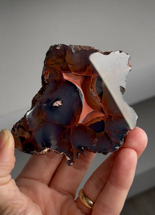 Red Fox Agate Geode from Argentina