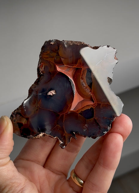 Red Fox Agate Geode from Argentina