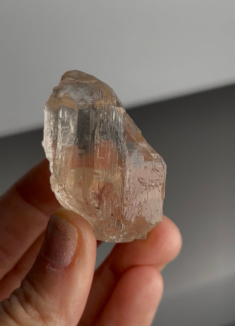 Etched Champagne Topaz Collection # 766