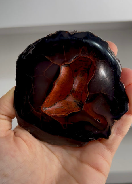 Red Fox Agate Geode from Argentina
