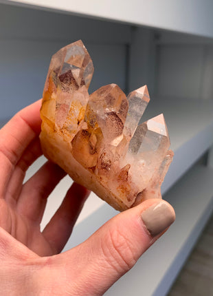 Great Phantoms ! Sunset Quartz 🔥 *