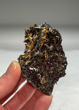 Golden Rutile with Metallic Hematite