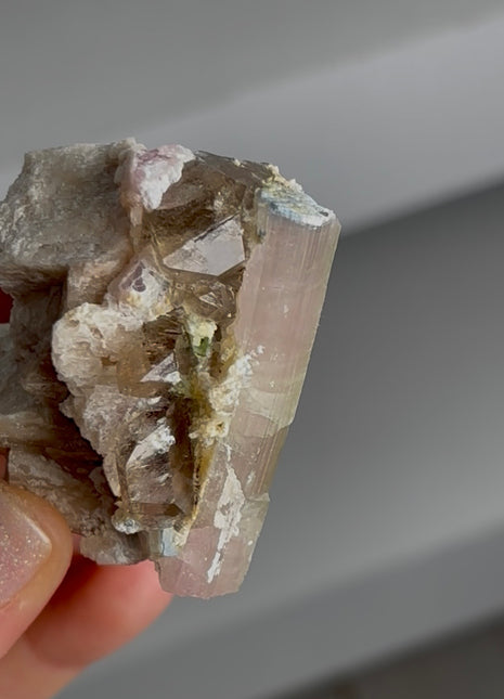 Blue Cap Tourmaline with Smoky Quartz