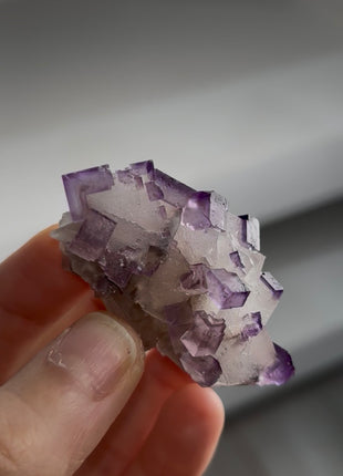 New ! Two Generation Fluorite Specimen PM1263