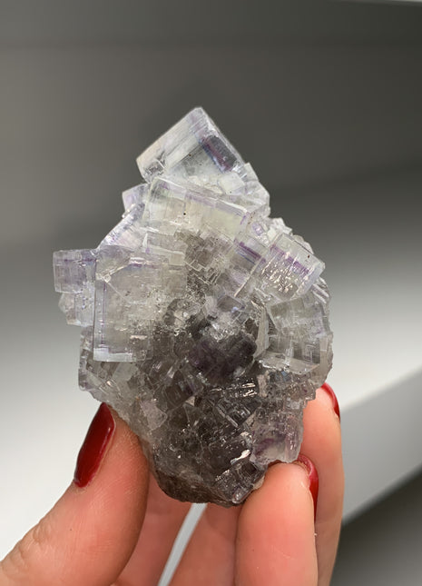 Clear Fluorite with Purple Zoning from La Viesca mine # PM0135