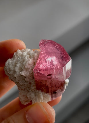 Pink Tourmaline with Albite PM1328