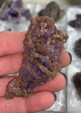 Grape Agate Lot - From Sulawesi, Indonesia - 12 Pieces !