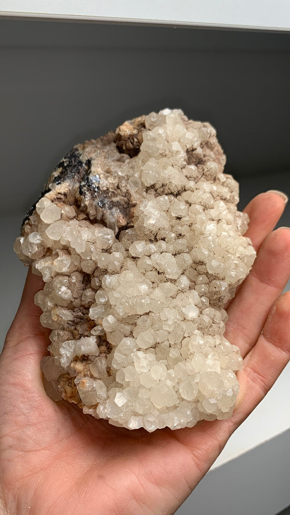 Lustrous Calcite with Sphalerite - From Trepca mine