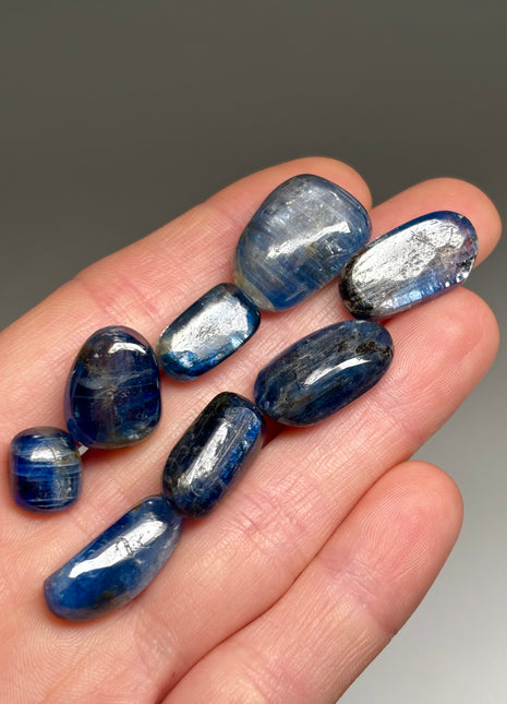 High Grade Blue Kyanite Lot from Nepal, 8 Pieces