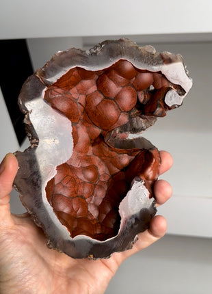 Red Fox Agate Geode from Argentina PM0831