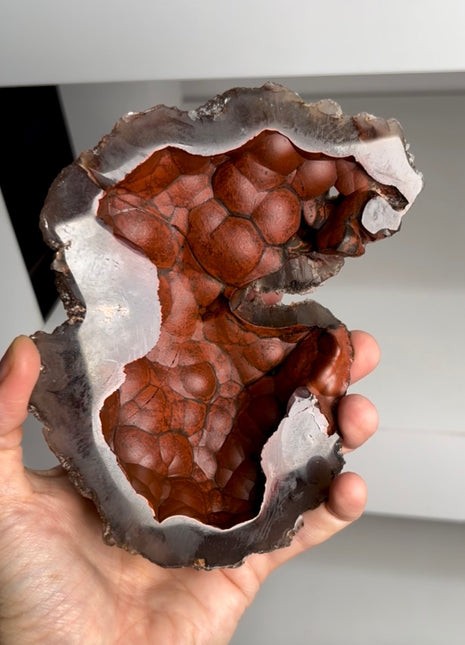 Red Fox Agate Geode from Argentina PM0831