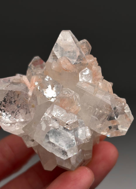 Gemmy Apophyllite with Pink Stilbite Flower