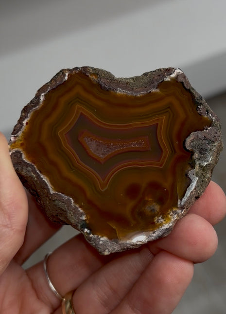 Condor Agate from Argentina PM0882