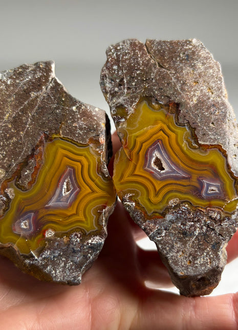 Rare ! Black Sea Agate Pair