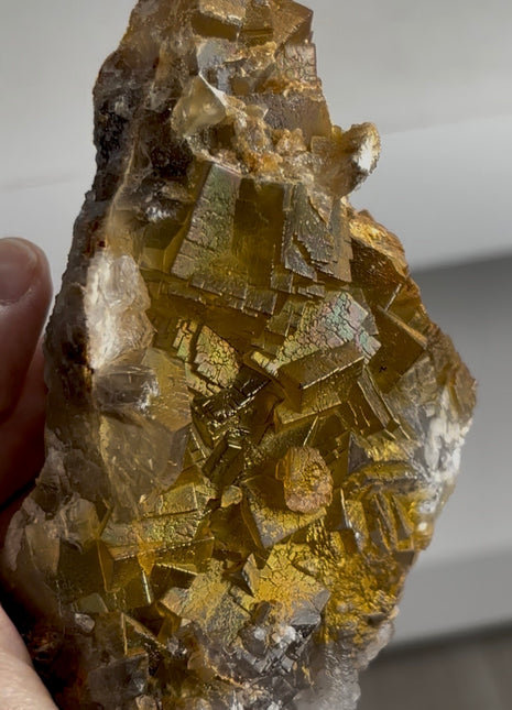 Rare ! Rainbow Fluorite with Golden Calcite PM0771 🌈