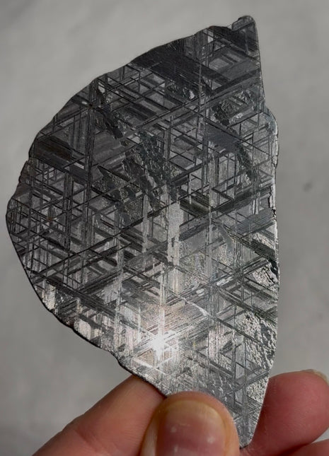 Muonionalusta Meteorite Collection # 814