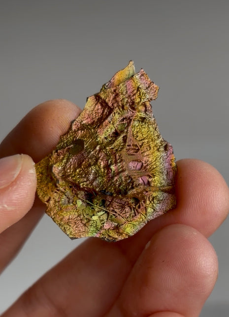 Incredible Color Goethite (Both-sided) PM0319