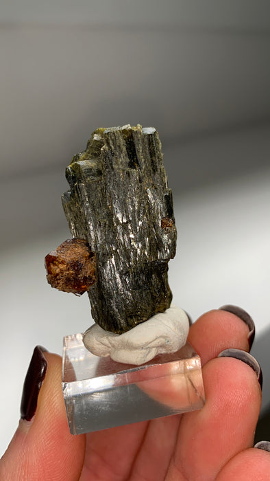 New Arrival ! Red Garnet var. Andradite with Glossy Epidote - From Mali