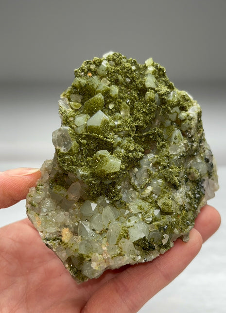 Druzy Green Epidote with Quartz