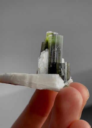 Green Cap Tourmaline with Cleavelandite PM1426