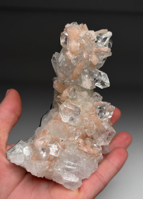 Top ! Gemmy Apophyllite with Pink Stilbite Stalactite