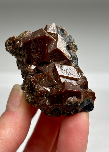 Chocolate Andradite Garnet