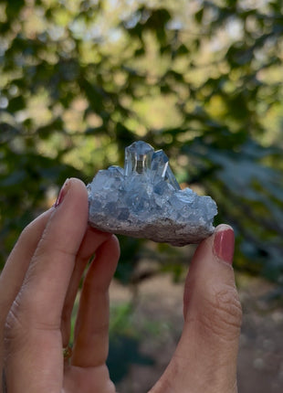 Sky Blue Celestite