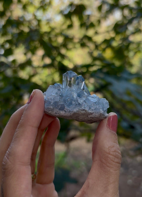 Sky Blue Celestite