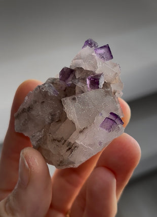 New ! Two Generation Fluorite Specimen PM1262
