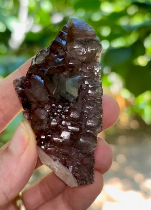 Red Chocolate Calcite PM0590