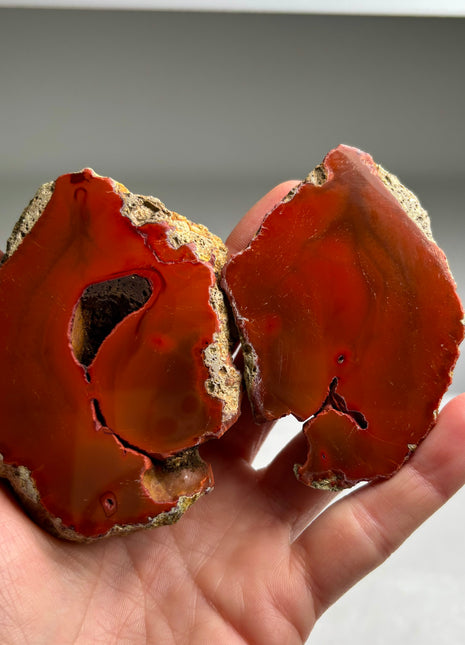 New ! Black Sea Agate Pair