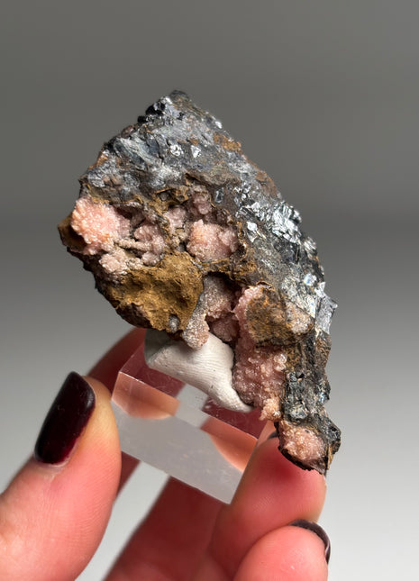 Pink Rhodocrosite - From Potosi mine