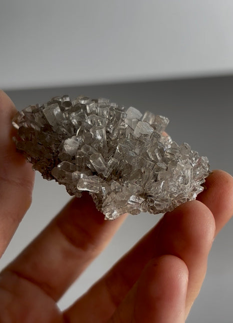 New Arrival ! Optical Calcite