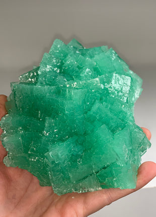 Amazing ! Green Cubic Halite - From Lubin mine, Poland