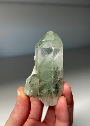 Green Phantom Quartz - From Himachal Pradesh