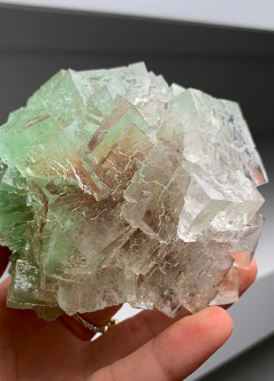 Rare Bicolor Transparent Green Halite - From Lubin mine, Poland