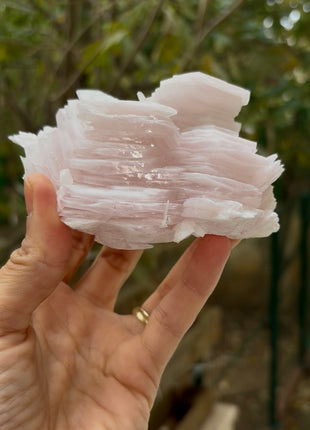 Poker Chip Manganocalcite Collection # 634