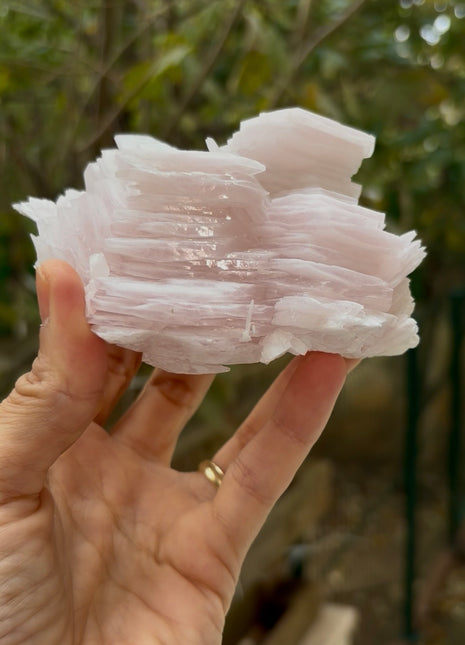 Poker Chip Manganocalcite Collection # 634