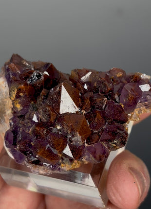 Red Amethyst Flower - From Thunder Bay, Canada