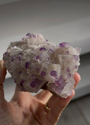 New ! Two Generation Fluorite Specimen PM1270