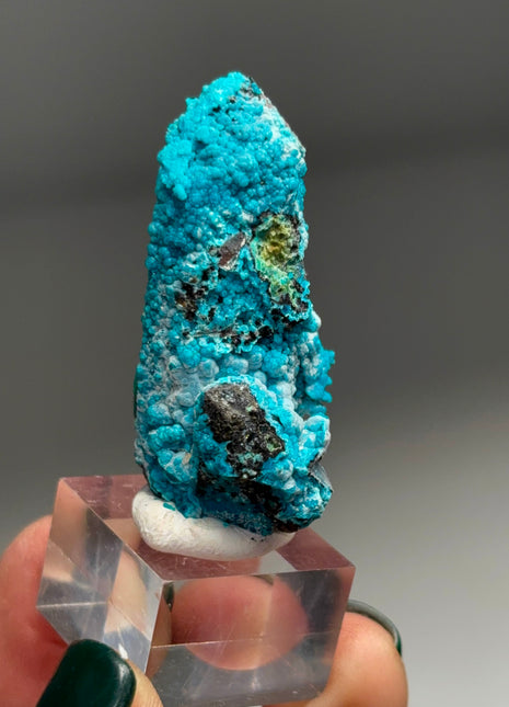 Quartz with Blue Chrysocolla