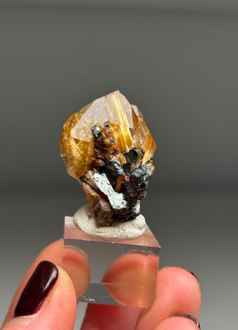 Quartz with Rutile and Hematite - from Novo Horizonte