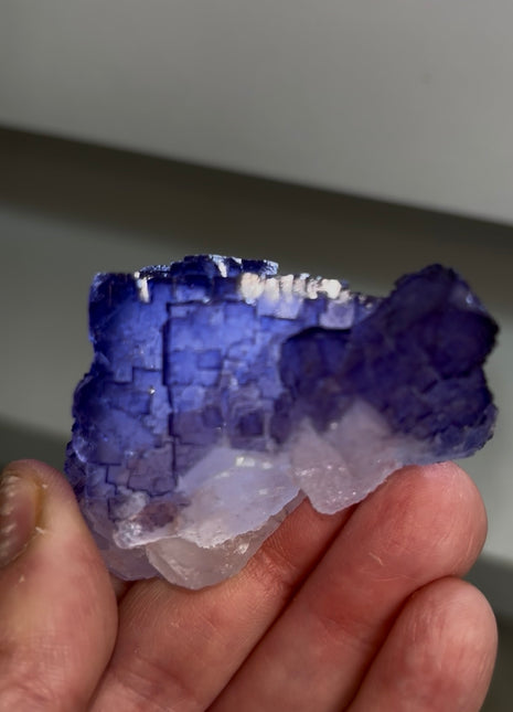 Blurple Fluorite from Muzquiz, Mexico