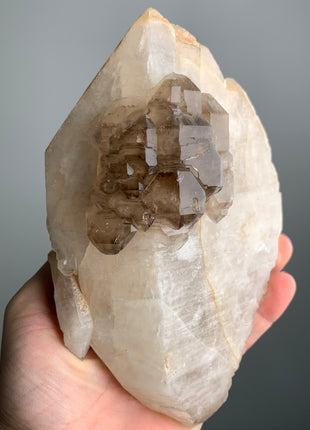 Elestial Smoky Quartz on White Quartz - From Namibia