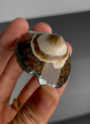 Barite with Marcasite Diamond PM1421