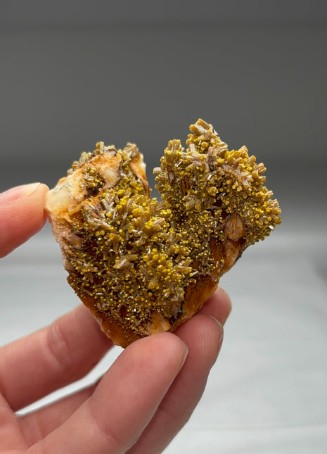 Pyromorphite with Barite from France Collection # 471